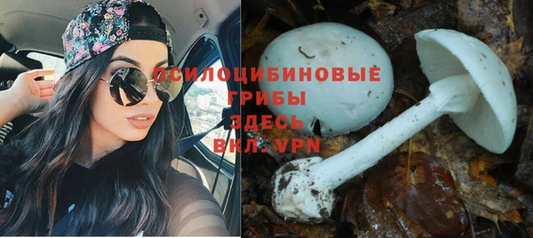 герыч Абинск
