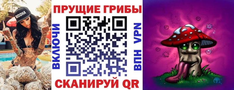 магазин    Шарья  мориарти клад  Псилоцибиновые грибы Magic Shrooms 